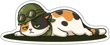 The cat lying flat on the ground, helmet tipped, done for the day